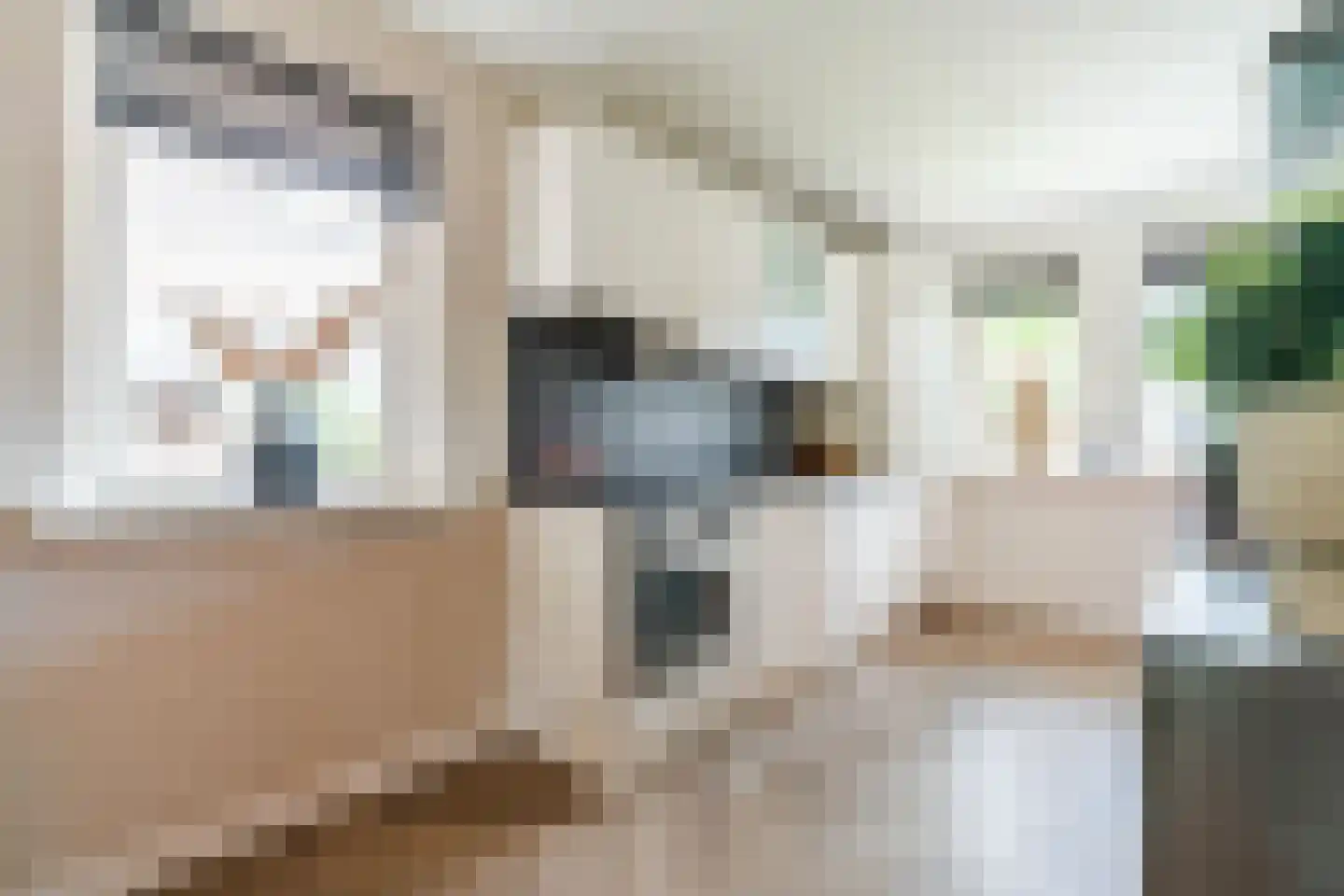 Nieuwstraat 54 Vroomshoop thumbnail 14