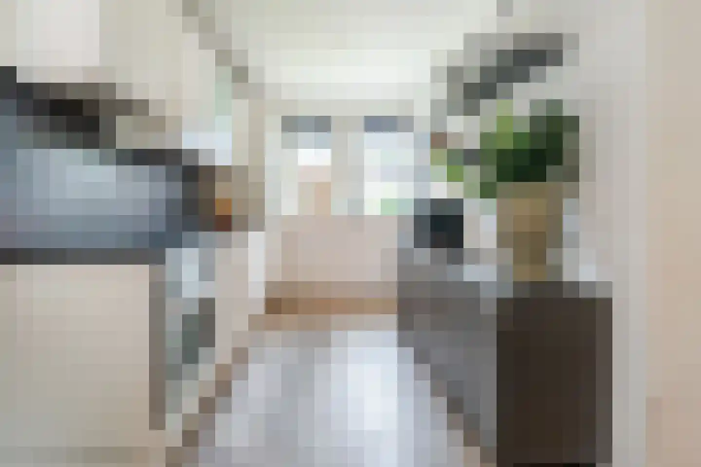 Nieuwstraat 54 Vroomshoop thumbnail 15