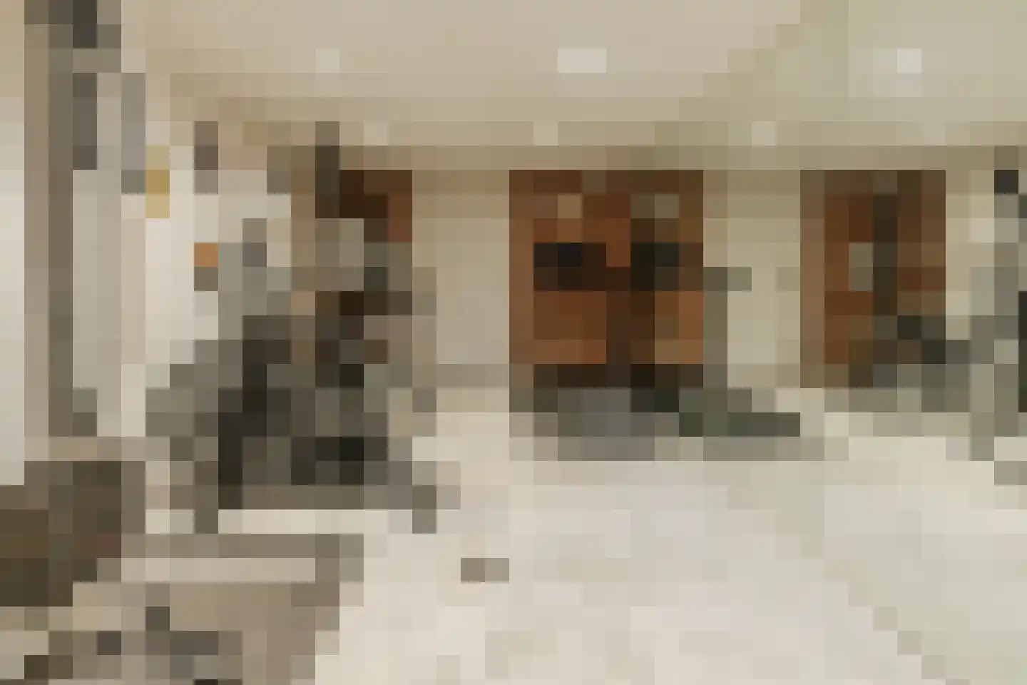 Nieuwstraat 54 Vroomshoop thumbnail 16