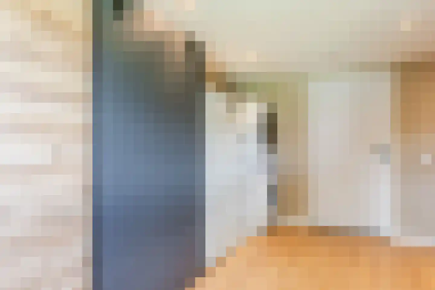 Nieuwstraat 54 Vroomshoop thumbnail 18