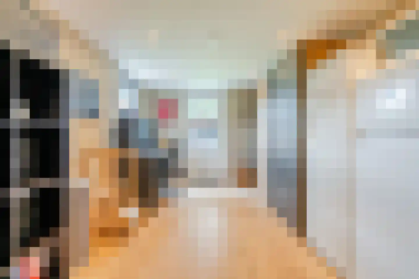 Nieuwstraat 54 Vroomshoop thumbnail 19