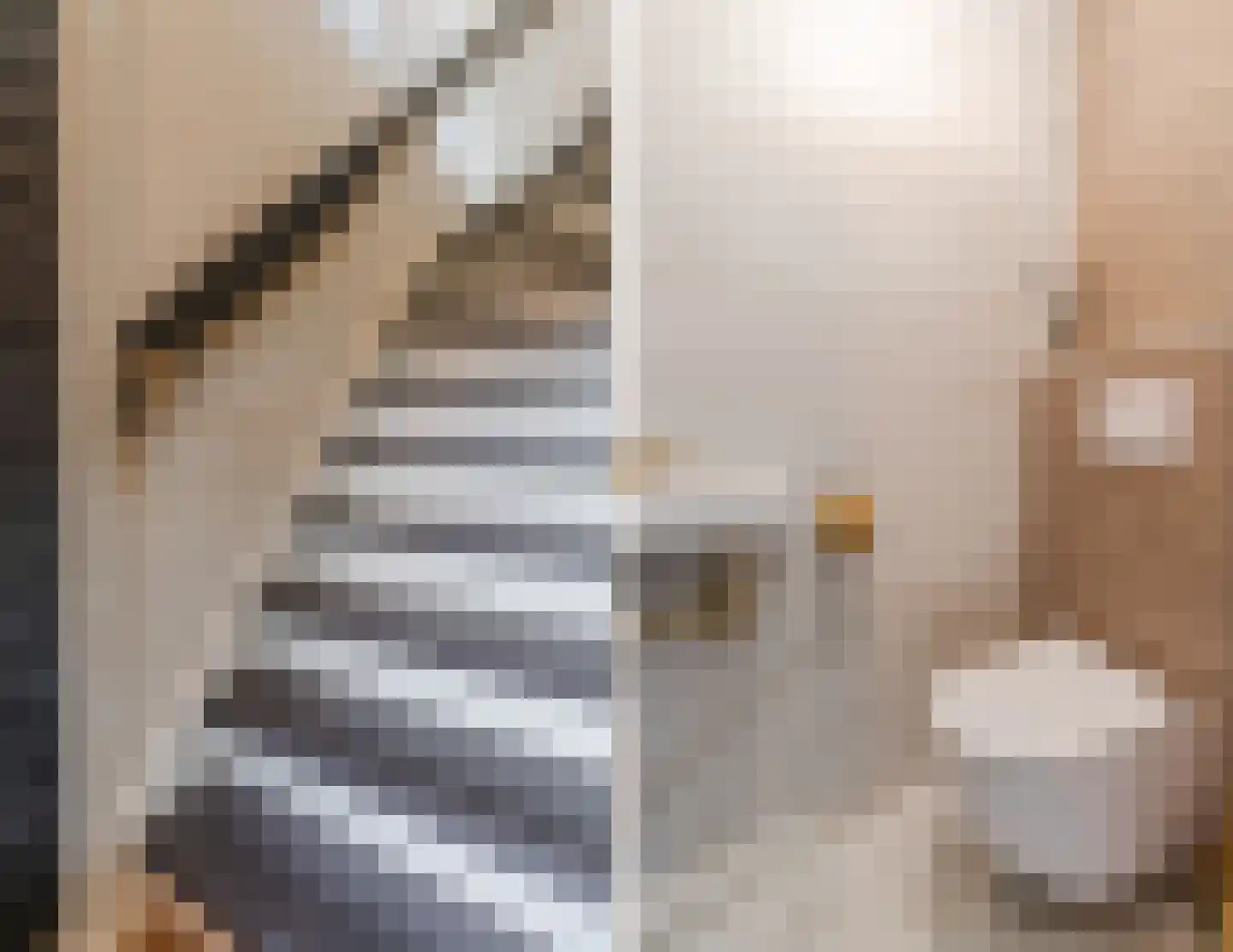 Nieuwstraat 54 Vroomshoop thumbnail 20