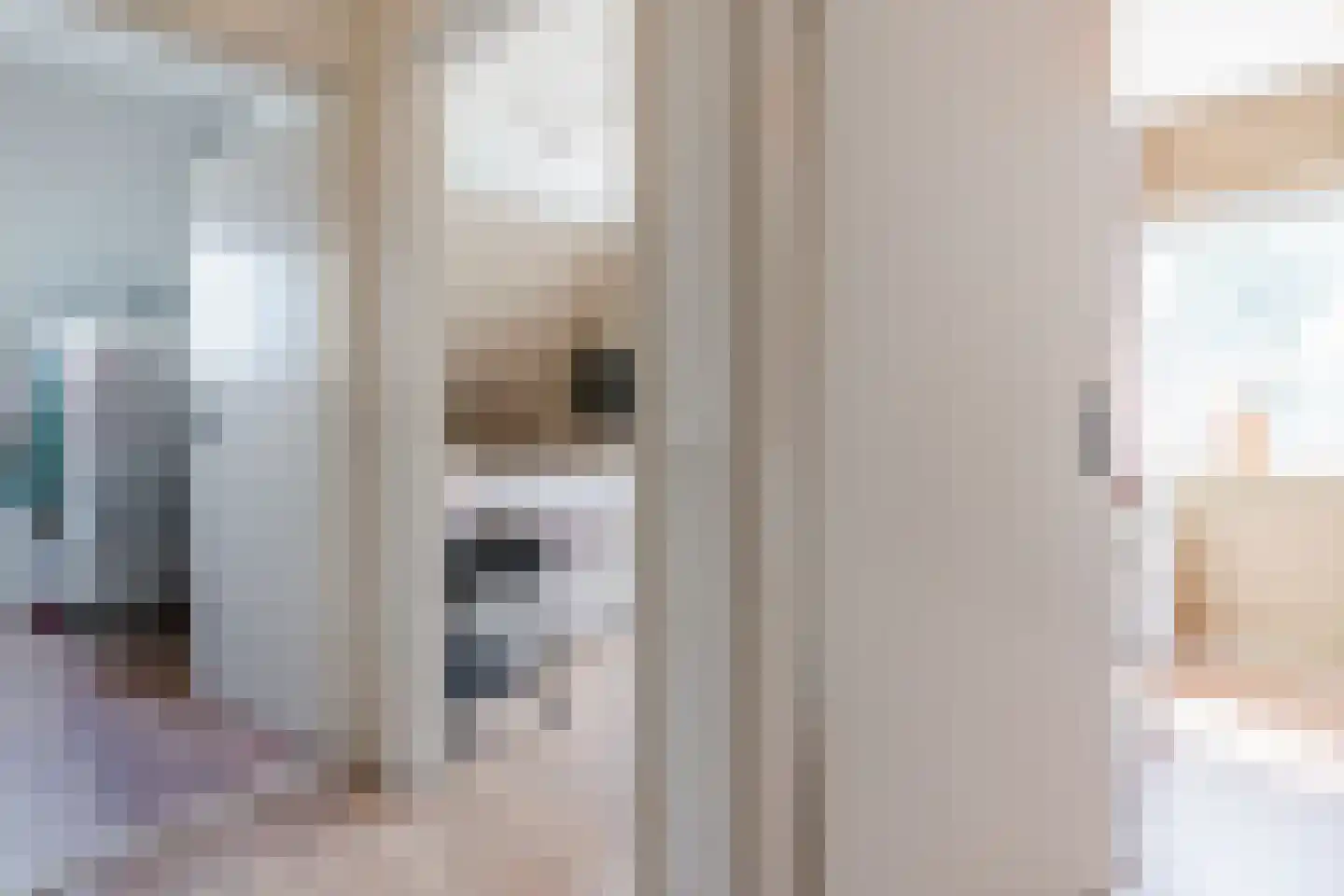 Nieuwstraat 54 Vroomshoop thumbnail 21