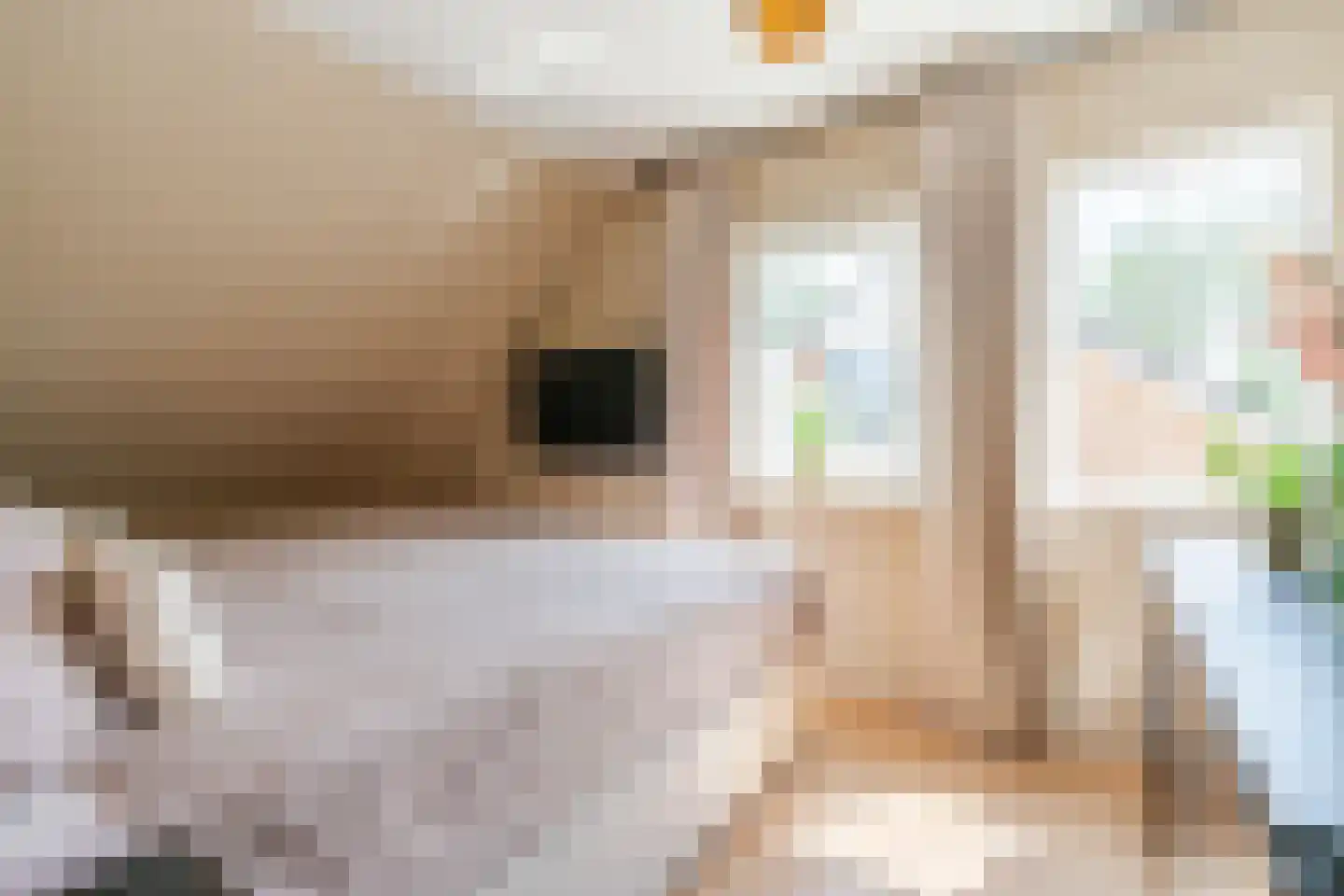 Nieuwstraat 54 Vroomshoop thumbnail 23