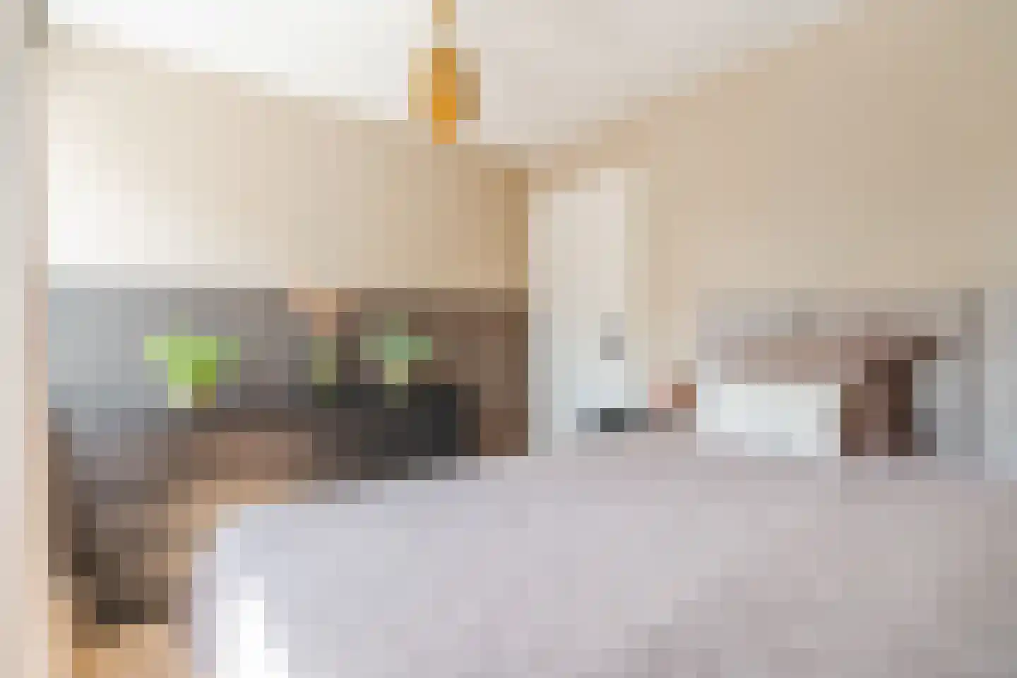 Nieuwstraat 54 Vroomshoop thumbnail 24