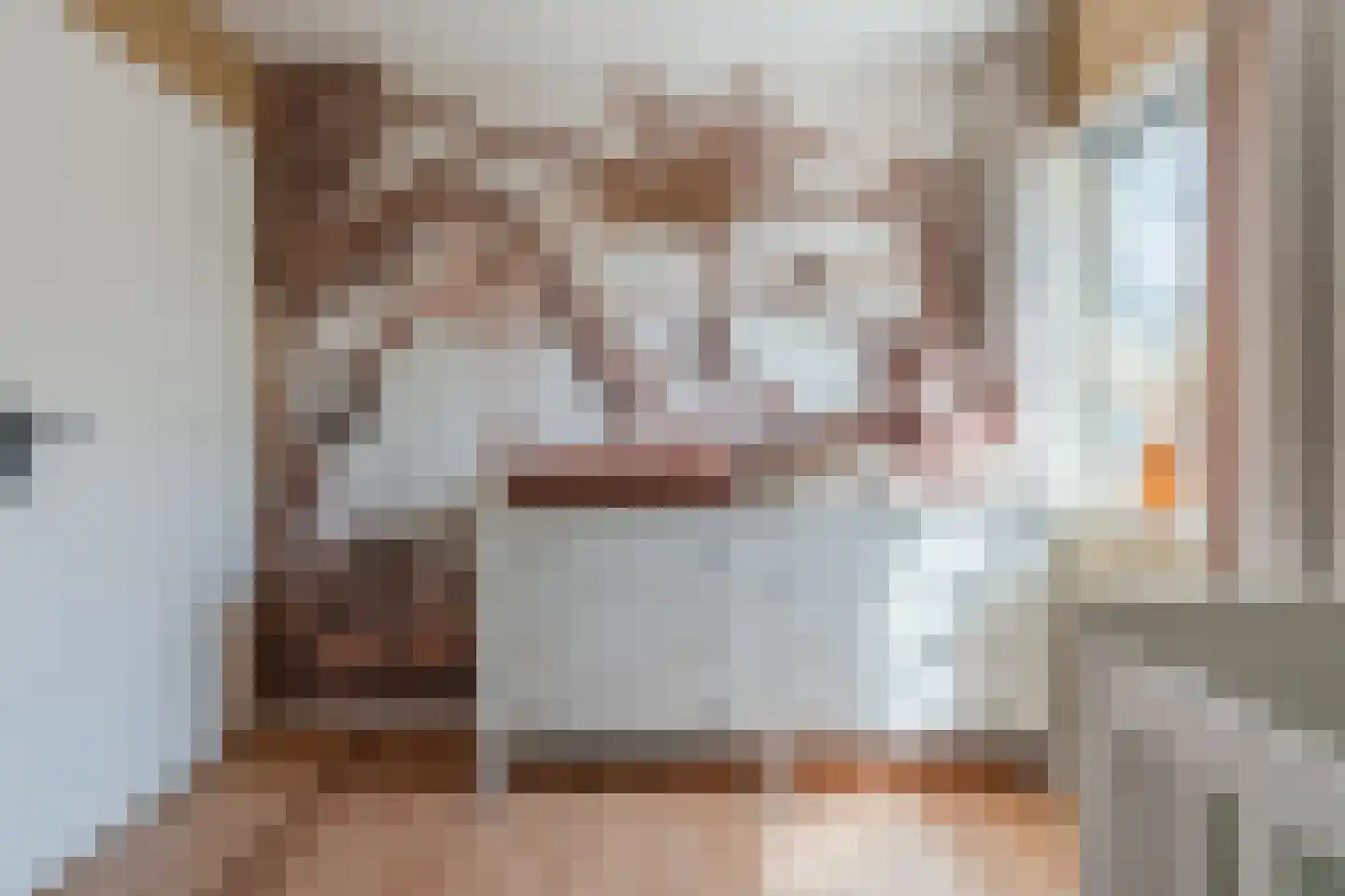 Nieuwstraat 54 Vroomshoop thumbnail 25