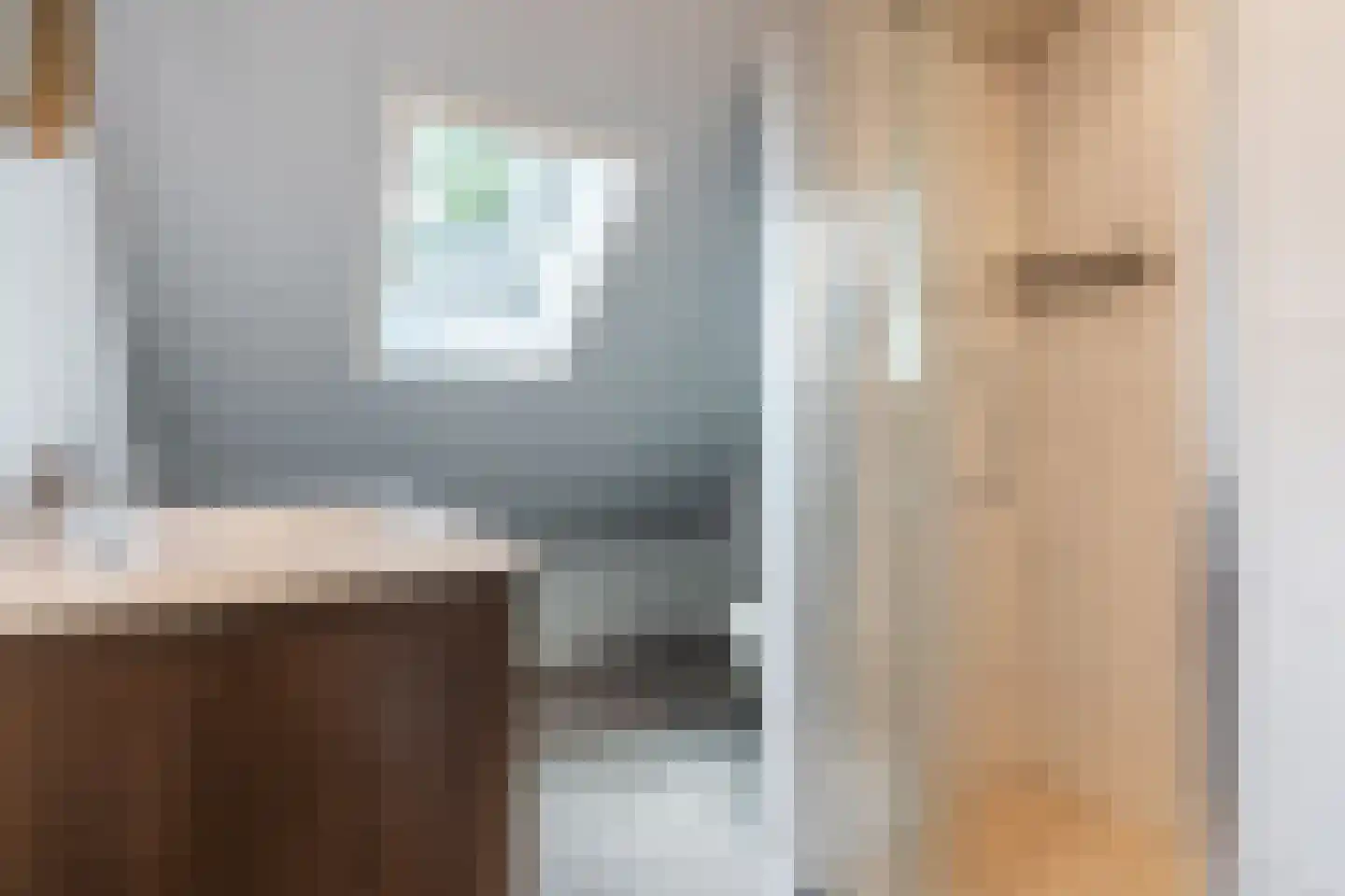 Nieuwstraat 54 Vroomshoop thumbnail 29