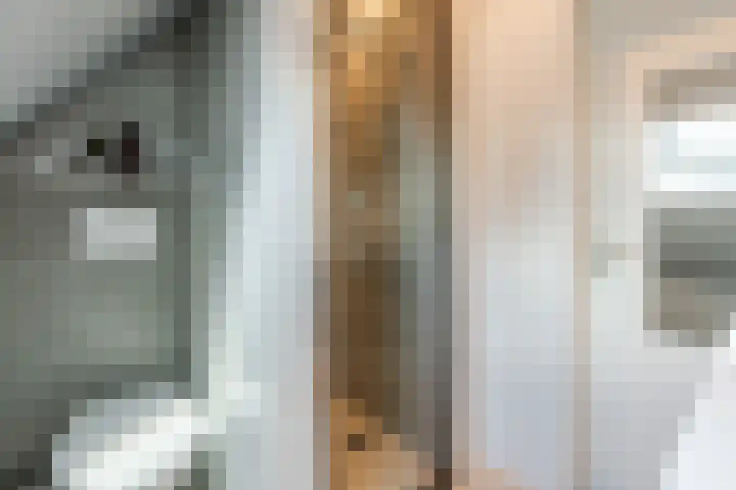 Nieuwstraat 54 Vroomshoop thumbnail 30