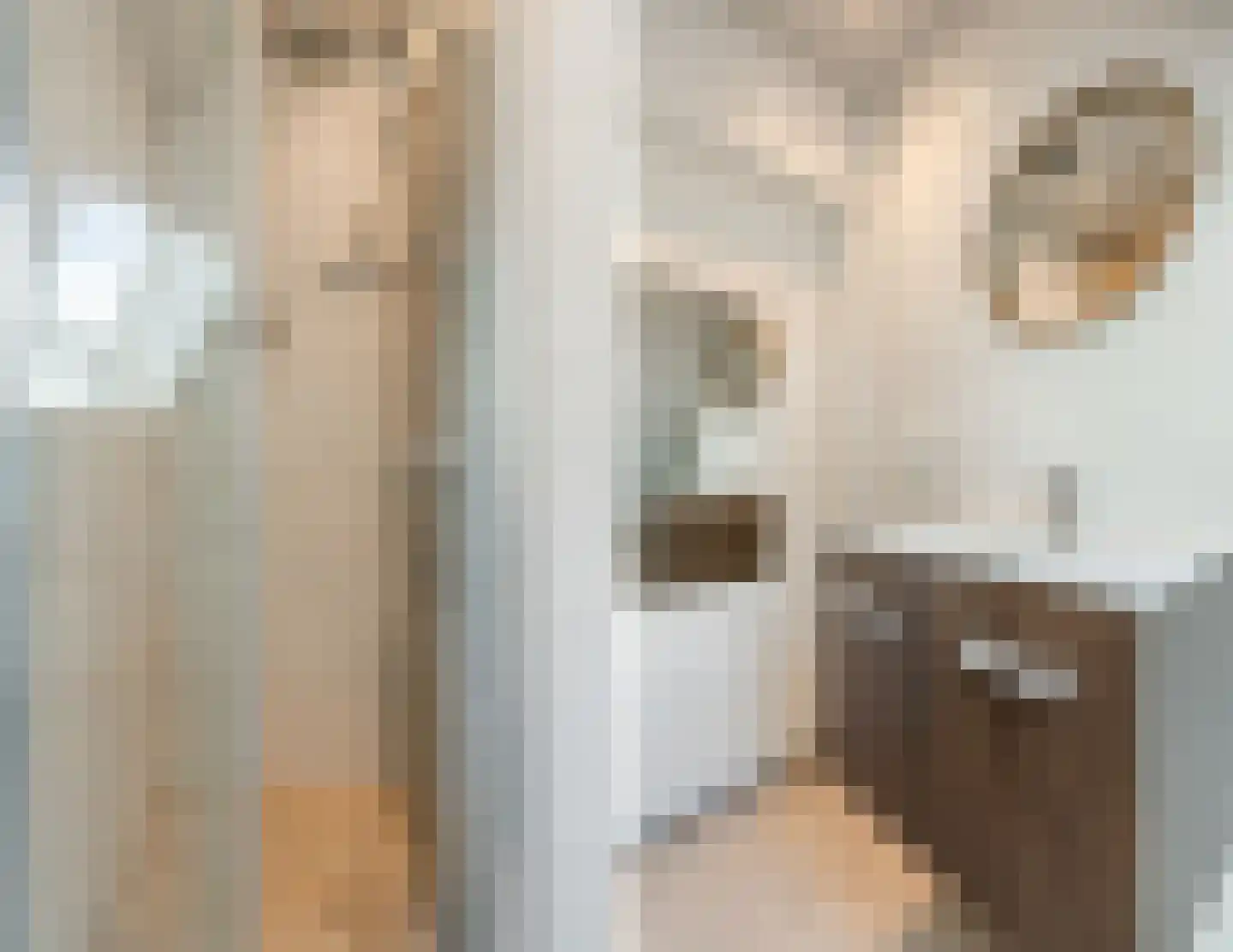 Nieuwstraat 54 Vroomshoop thumbnail 31