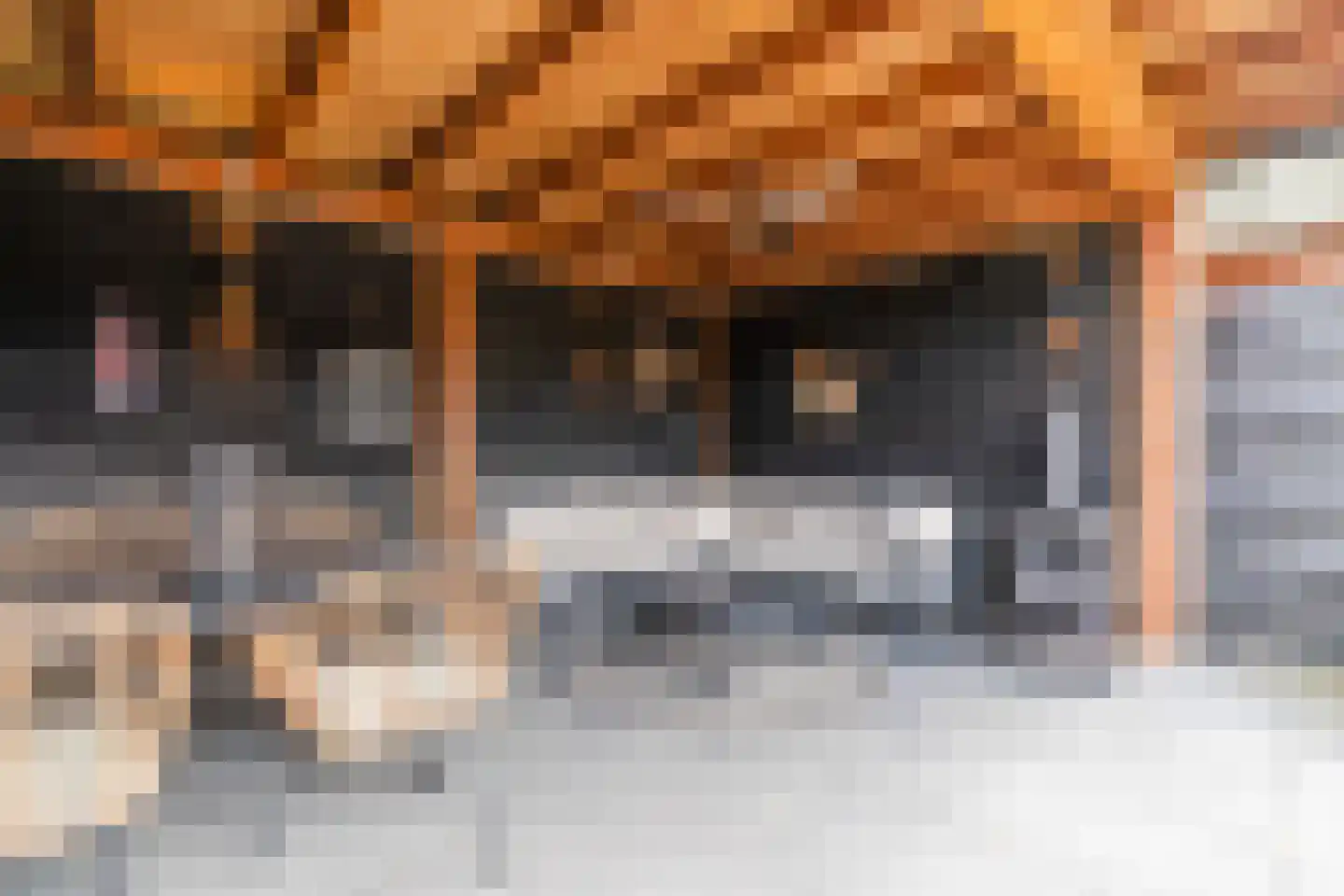 Nieuwstraat 54 Vroomshoop thumbnail 35