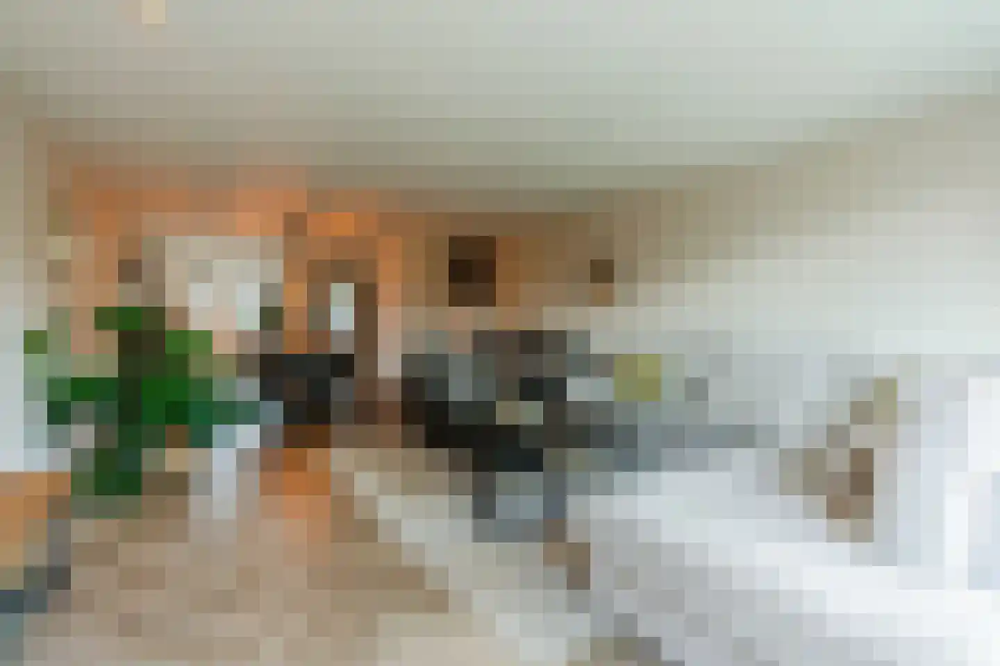 Nieuwstraat 54 Vroomshoop thumbnail 9