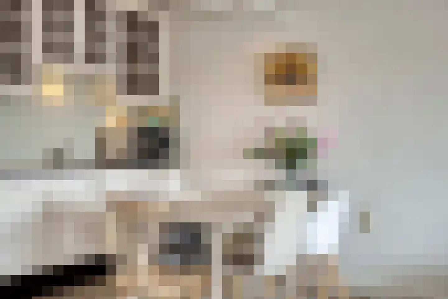 Nieuwstraat 55 D Purmerend thumbnail 18