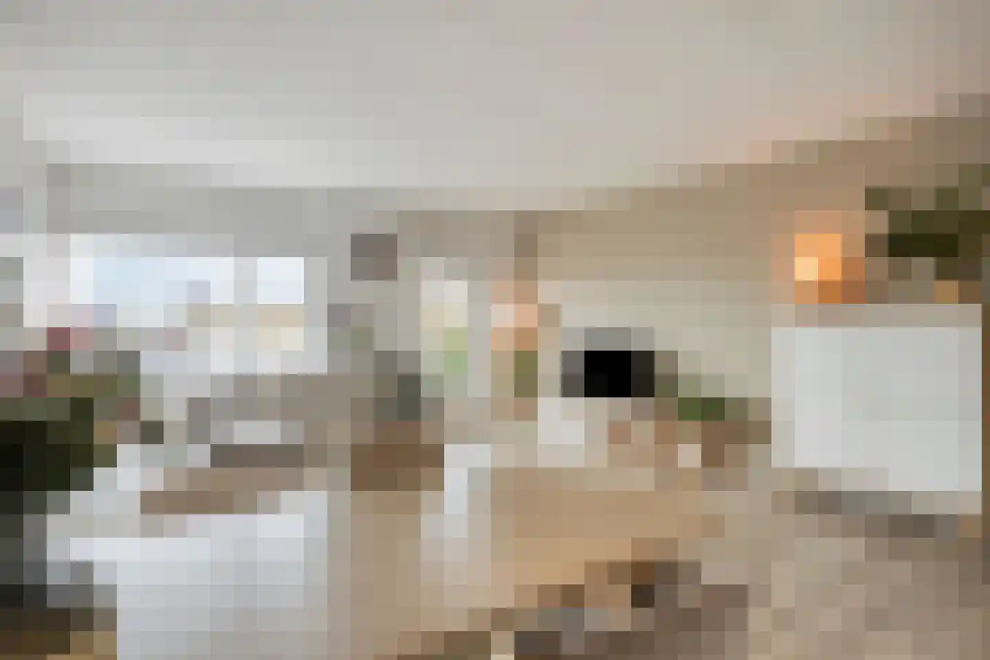 Nieuwstraat 55 D Purmerend thumbnail 19