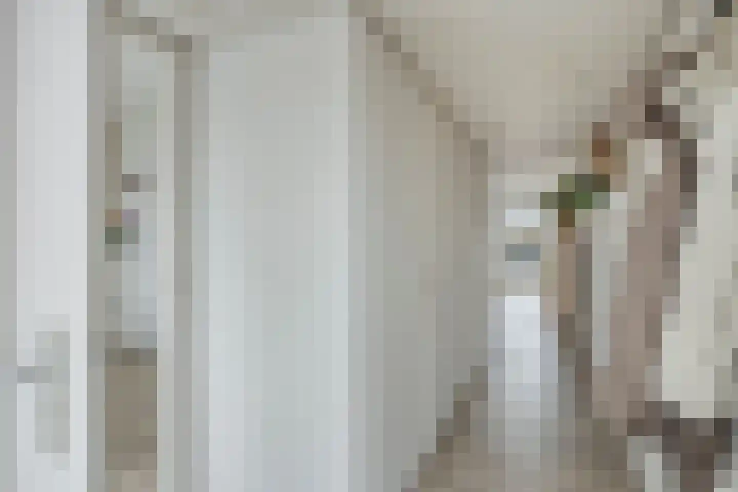 Nieuwstraat 55 D Purmerend thumbnail 9