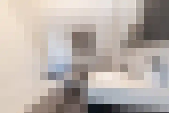 Nieuwstraat 56 Vroomshoop thumbnail 17