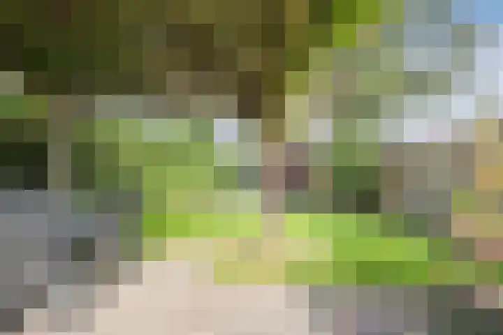 Nieuwstraat 56 Vroomshoop thumbnail 21