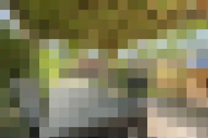 Nieuwstraat 56 Vroomshoop thumbnail 22