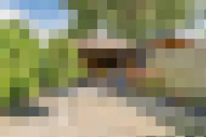 Nieuwstraat 56 Vroomshoop thumbnail 23