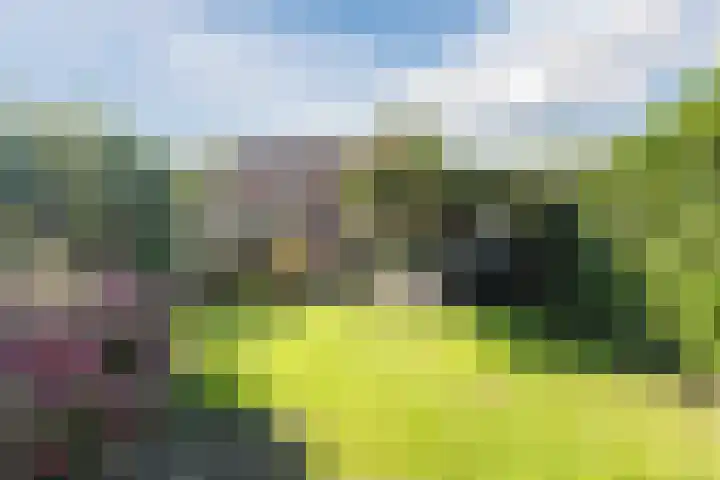Nieuwstraat 56 Vroomshoop thumbnail 25
