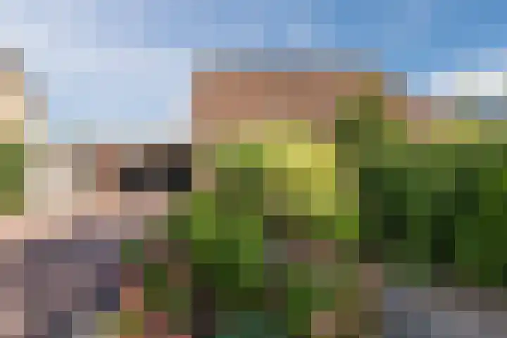 Nieuwstraat 56 Vroomshoop thumbnail 27