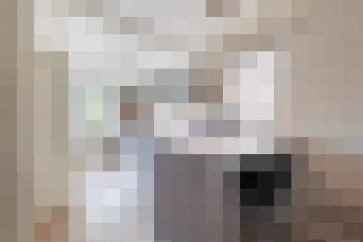 Nieuwstraat 56 Vroomshoop thumbnail 4