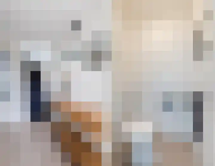 Nieuwstraat 56 Vroomshoop thumbnail 9