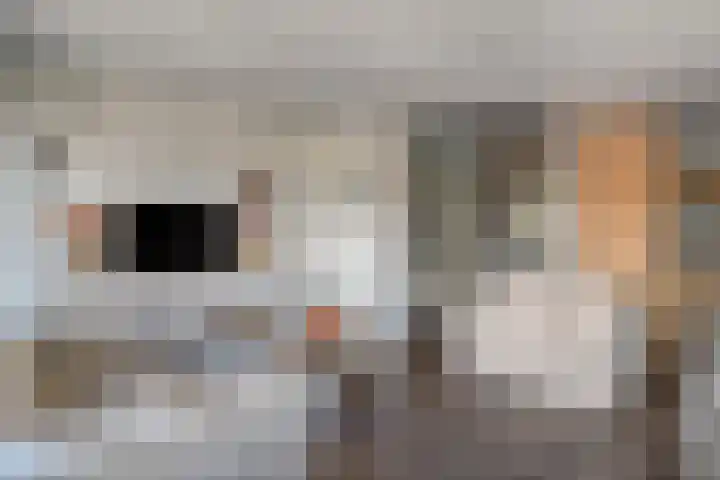 Nieuwstraat 59 H Made thumbnail 14