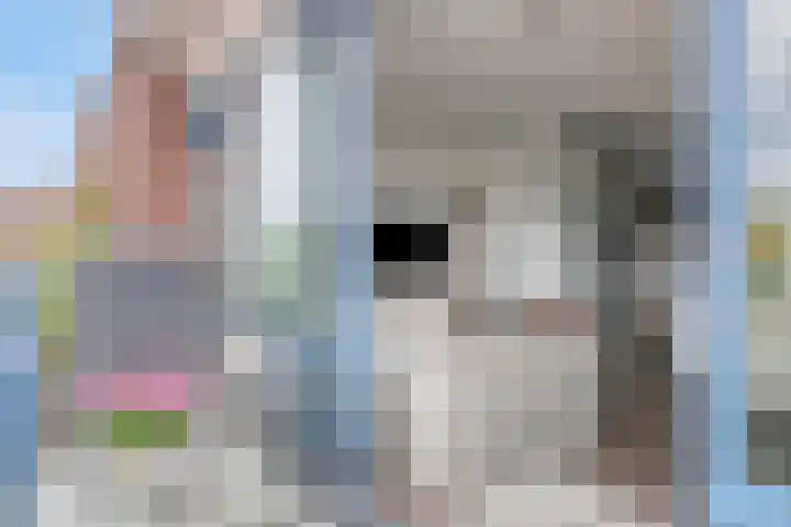 Nieuwstraat 59 H Made thumbnail 5