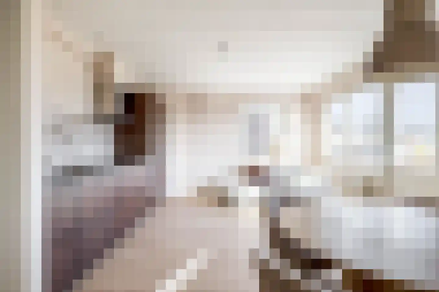 Nieuwstraat 59 Schagen thumbnail 13
