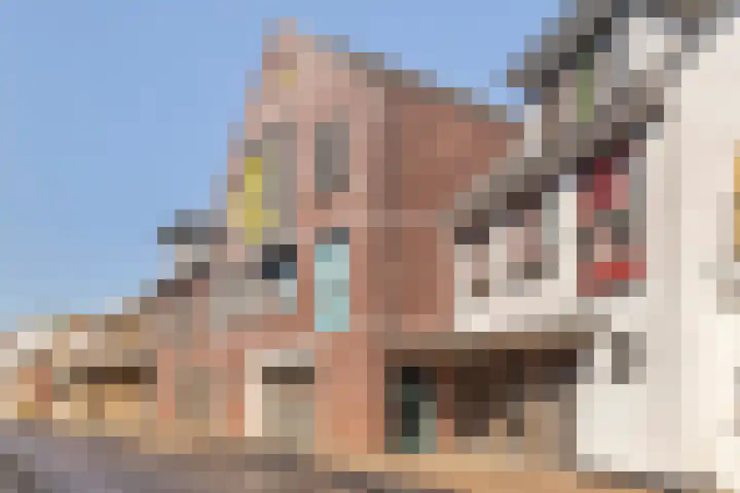 Nieuwstraat 6 a in Leerdam