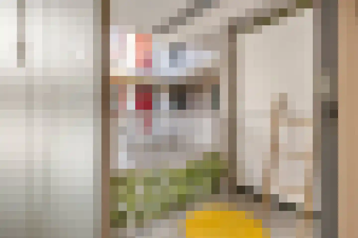 Nieuwstraat 6 a Leerdam thumbnail 14