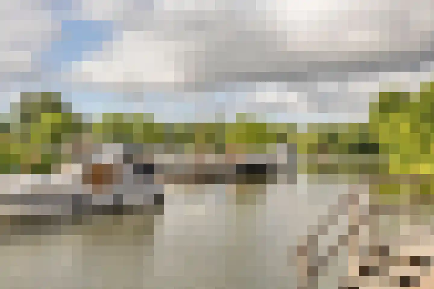 Nieuwstraat 6 a Leerdam thumbnail 28