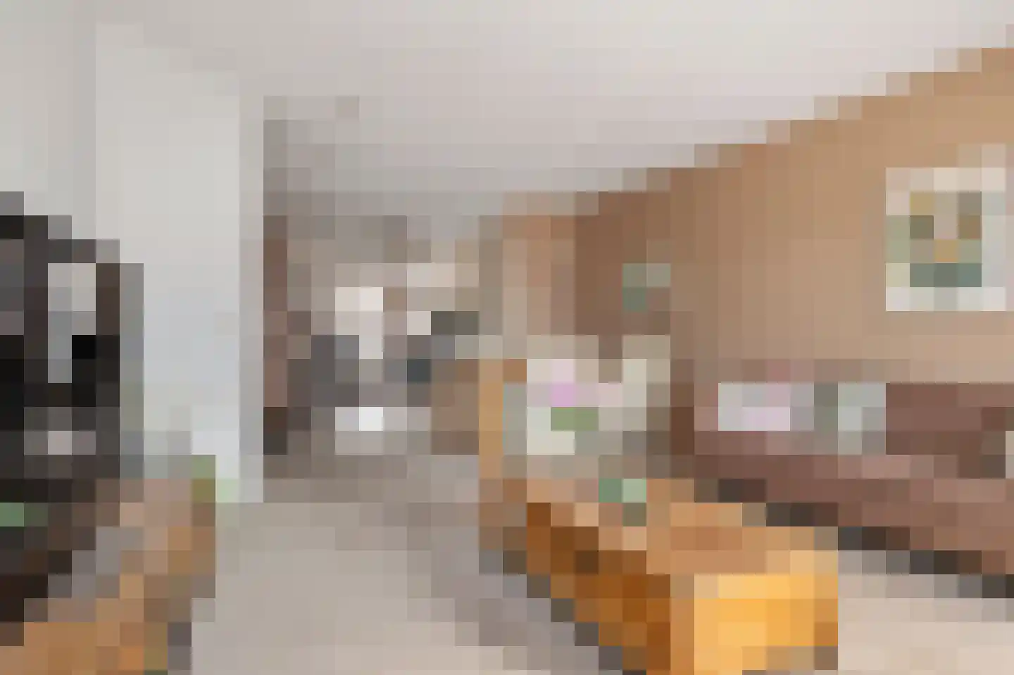 Nieuwstraat 6 a Leerdam thumbnail 8