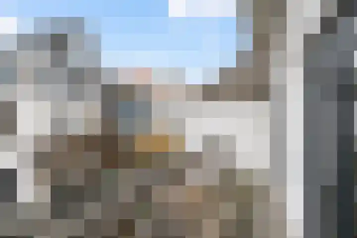 Nieuwstraat 6 B Maassluis thumbnail 18
