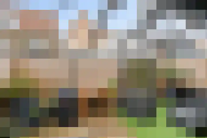 Nieuwstraat 6 B Maassluis thumbnail 4