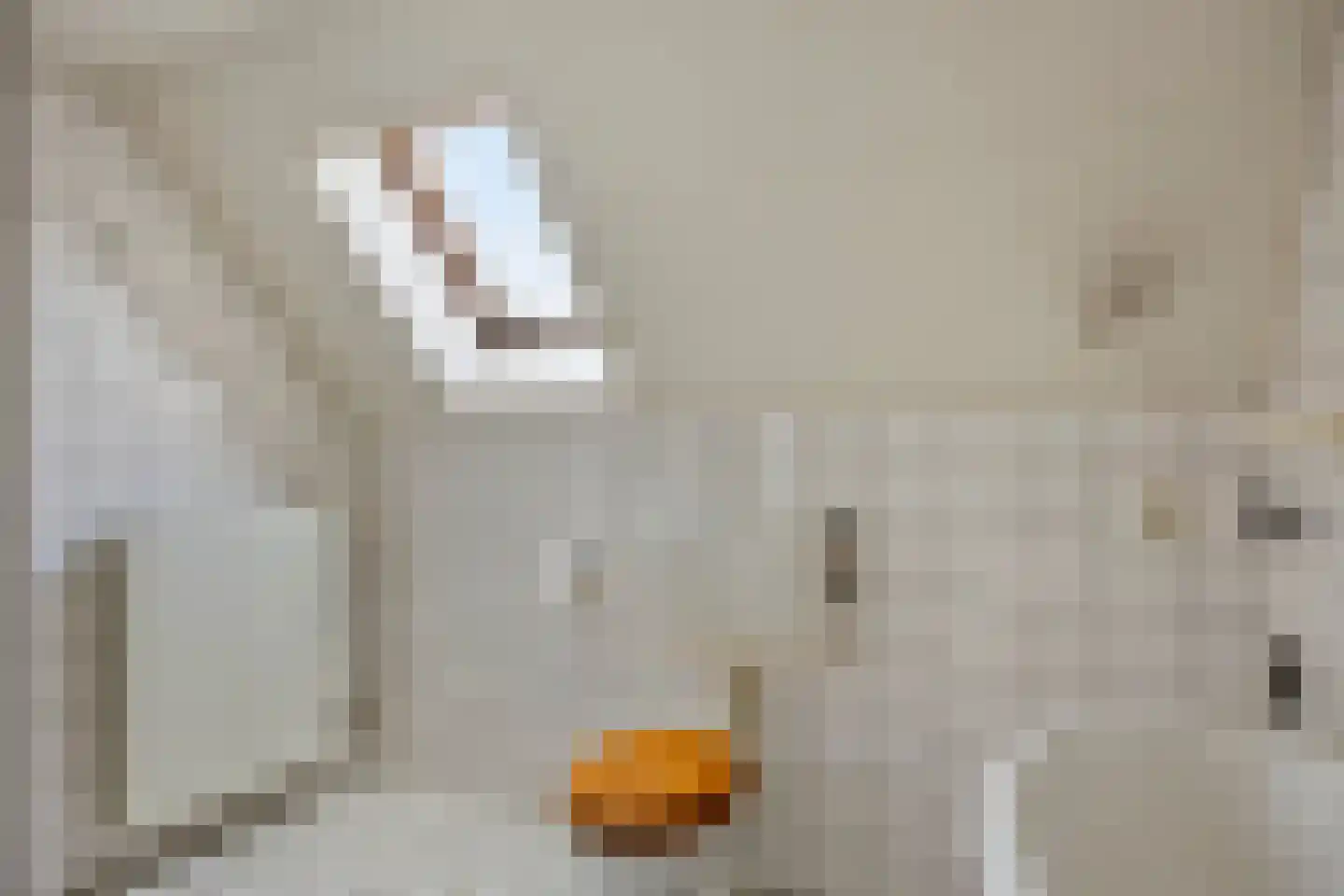 Nieuwstraat 6 Beek en Donk thumbnail 28