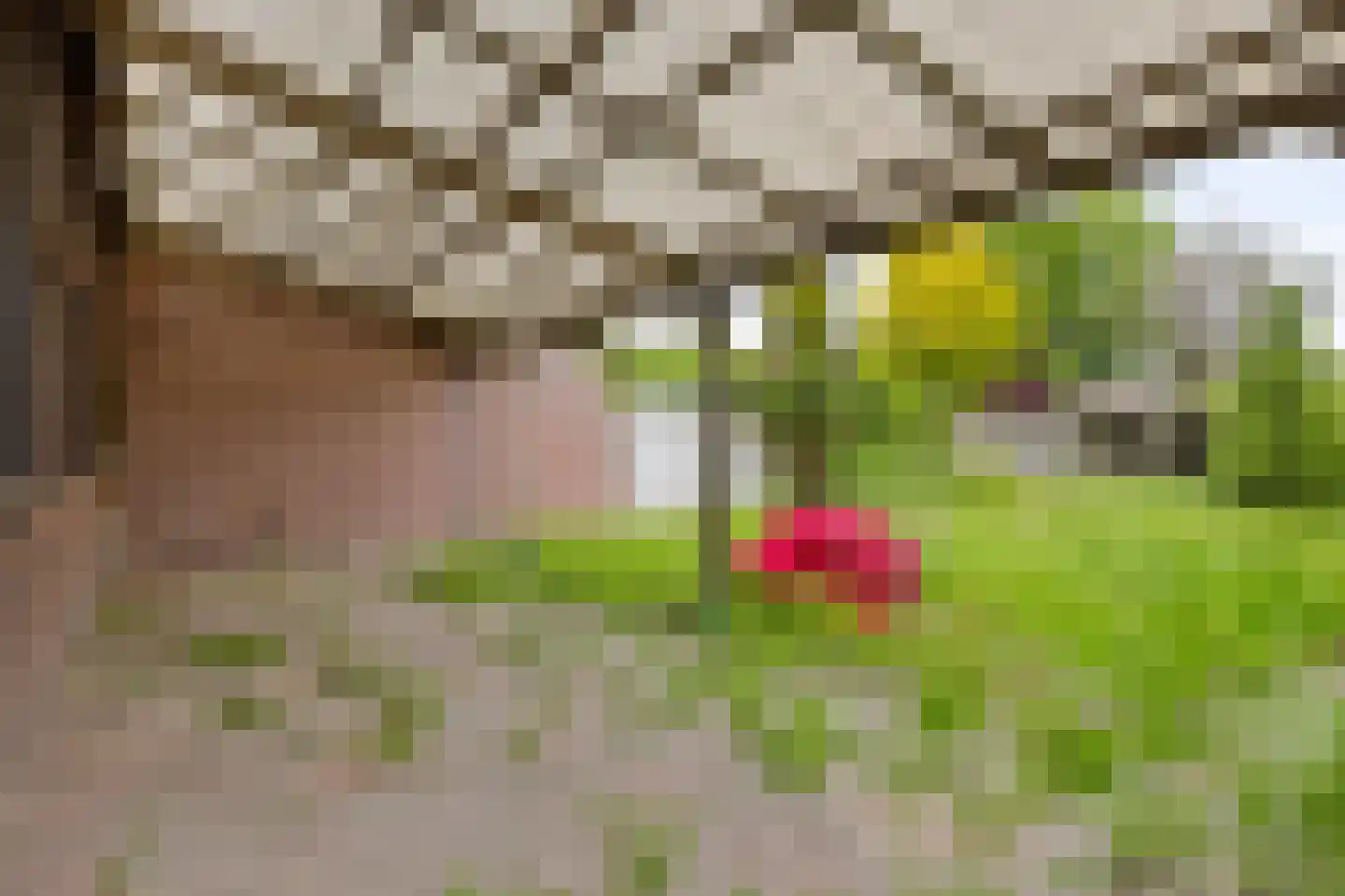 Nieuwstraat 6 Beek en Donk thumbnail 30