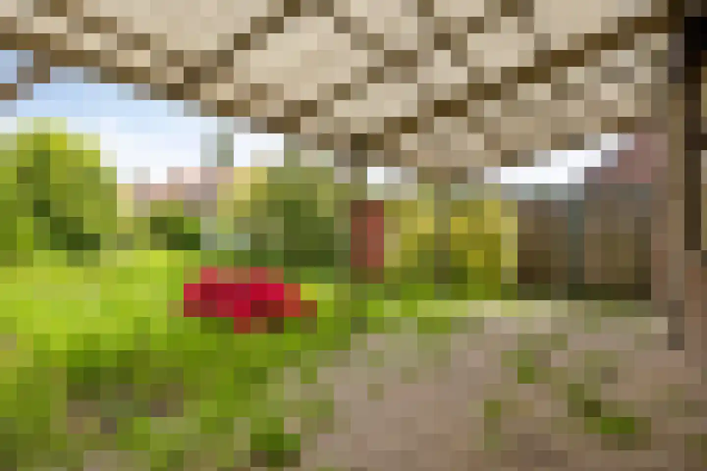 Nieuwstraat 6 Beek en Donk thumbnail 31
