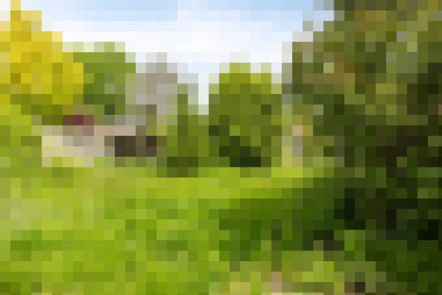 Nieuwstraat 6 Beek en Donk thumbnail 32