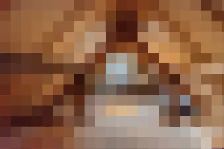 Nieuwstraat 6 Dinxperlo thumbnail 31