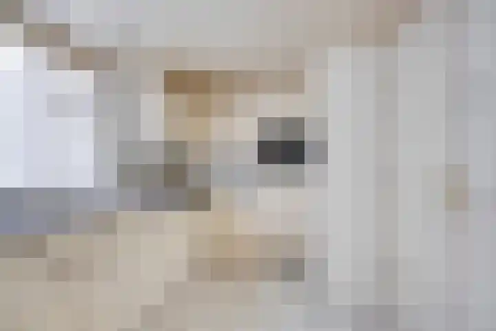 Nieuwstraat 6 Hengevelde thumbnail 12