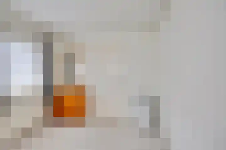 Nieuwstraat 6 Hengevelde thumbnail 17