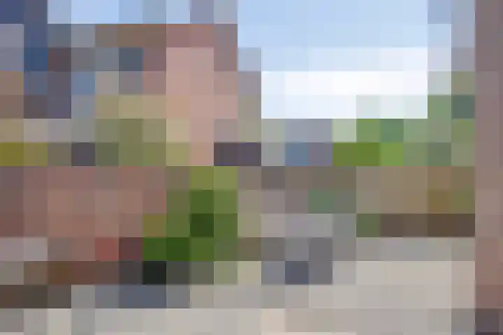 Nieuwstraat 6 Hengevelde thumbnail 23