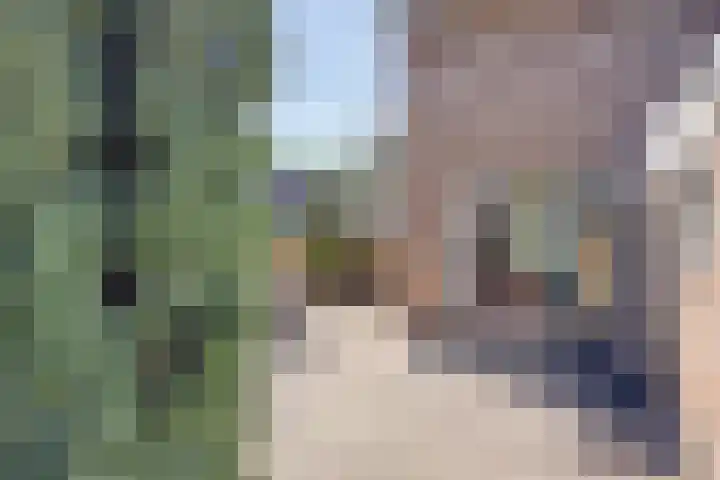 Nieuwstraat 6 Hengevelde thumbnail 24