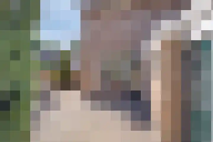 Nieuwstraat 6 Hengevelde thumbnail 25
