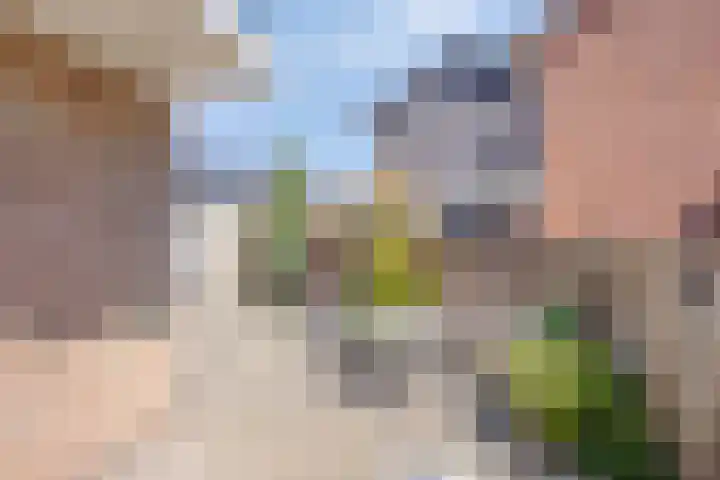 Nieuwstraat 6 Hengevelde thumbnail 27