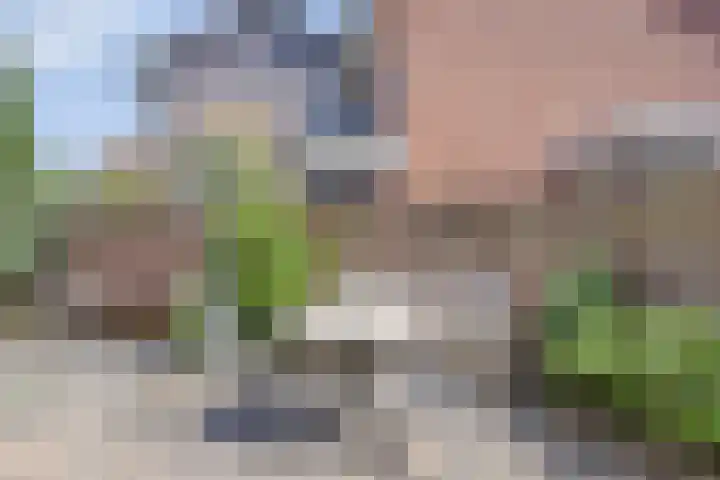 Nieuwstraat 6 Hengevelde thumbnail 28