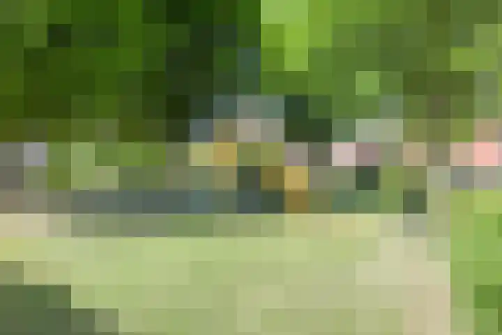 Nieuwstraat 6 Hengevelde thumbnail 29