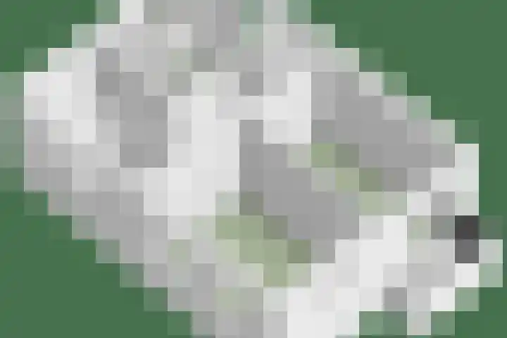 Nieuwstraat 6 Hengevelde thumbnail 32