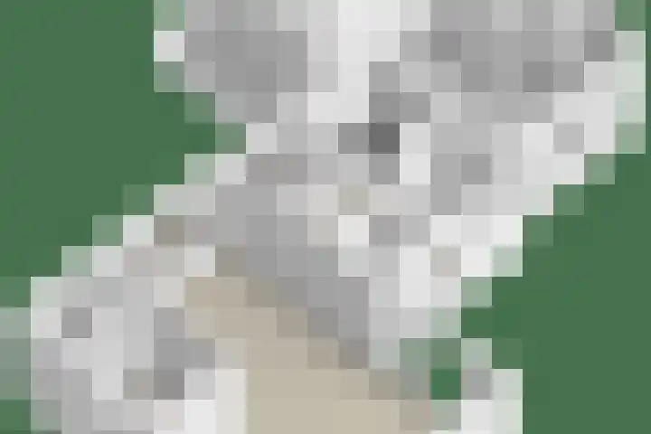 Nieuwstraat 6 Hengevelde thumbnail 33